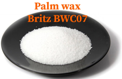 PALMOVÝ KRYSTALICKÝ VOSK BW C07 25kg (1 kg/79,34  Kč bez DPH)